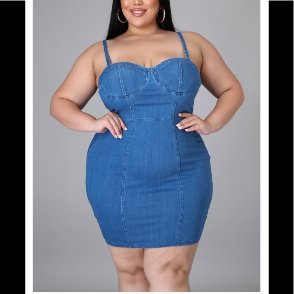 ⭐️HOST PICK⭐️ Plus Size Denim Dress with Back Zipper